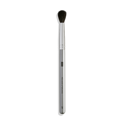 BRUSH NO 29
