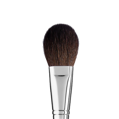 BRUSH NO 21